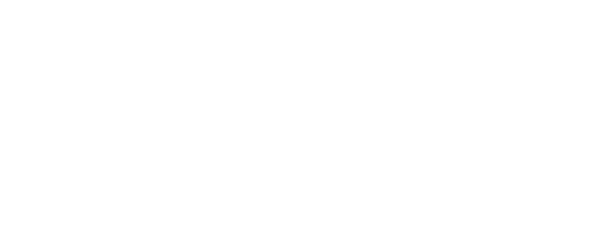 Industrial General Service, SRL